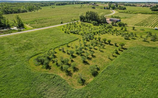 A HERITAGE FARM 40+ ACRES