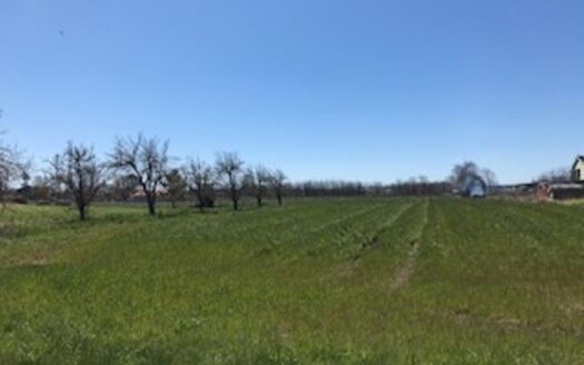 NINE+ ACRE SITE IN THE HEART OF WINE COUNTRY