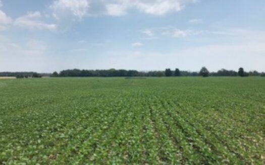 UNIQUE 85 ACRE SITE $1250000