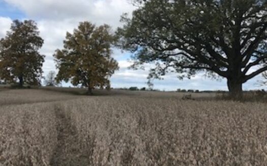 UNIQUE 85 ACRE SITE $1250000